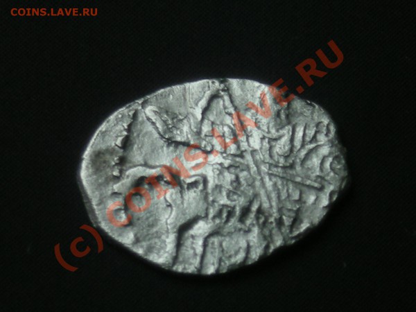 Чешуйка на оценку - DSCN1509.JPG