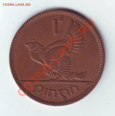 Ирландия.Пенни.1965.Курица.до 31 Марта - 19650017.JPG