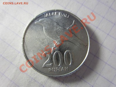 Индонезия 200 рупий 2003, до 30.03.2013 в 22.00 мск. - IMG_3774