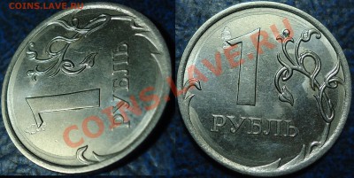 Пара брачков на опознание. - DSC00014.JPG