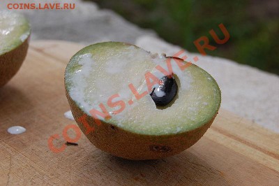 делает - прямо сейчас !!! - 800px-Sapodilla_fruit