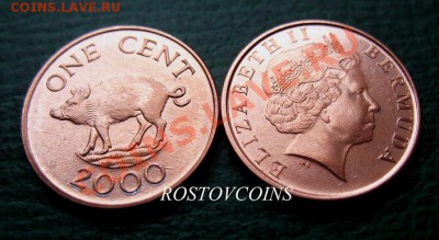 Распродажа остатков иностранных монет - 026. БЕРМУДЫ 1 цент 2000 г. СВИНКА - UNC = 30 (от 10 шт. по 27 руб..JPG