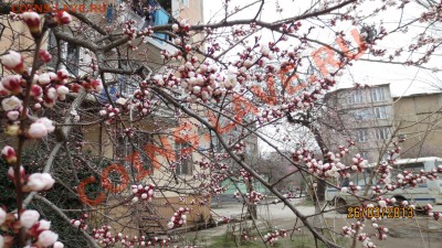 перекличка городов по температуре - IMG_1418.JPG