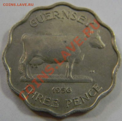 3 пенса Гернси 1956г. тонкий тип!!! - DSCN5133_thumb