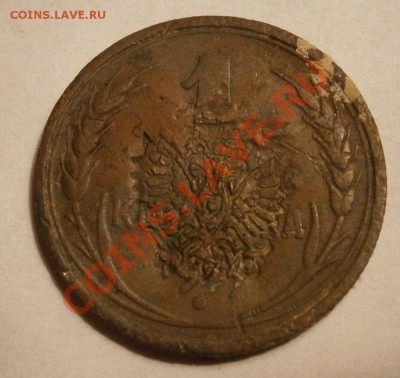 1 коп 1924г с орлом - P3270012.JPG