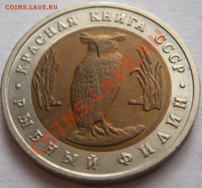 Крас. Кн. 5руб. 1991г. Фил. рыб. Коз. винт. 22-00.31.03.13г - P1200929.JPG