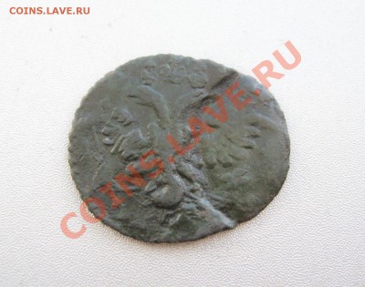 Полушка 1731г.Двойной удар! Благотворительный аук. - IMG_8552