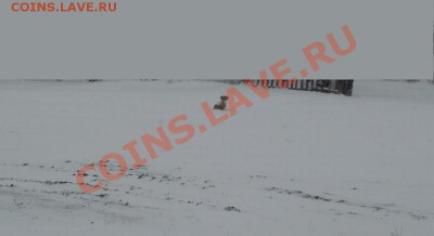 перекличка городов по температуре - 002