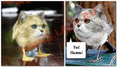 делает - прямо сейчас !!! - 2013-03-28_183524