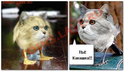 делает - прямо сейчас !!! - 2013-03-28_183748