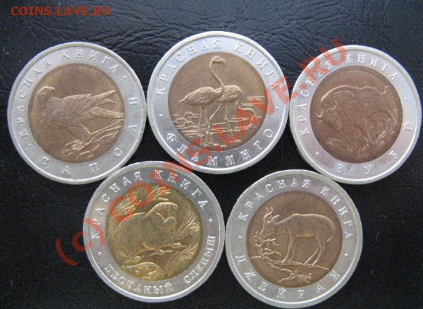 КРАСНАЯ КНИГА 1994г - 105.JPG