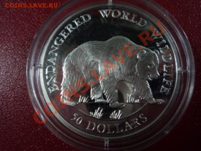 50 $  о. Кука Медведь Гризли Proof - DSC00152.JPG