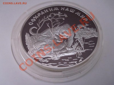 25 рублей Тигр 1996 03.04 22:10 МСК - IMG_1124.JPG