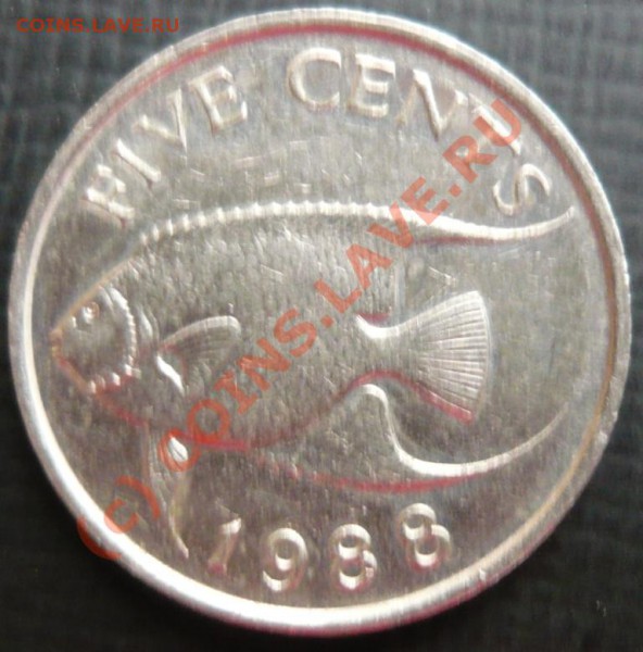 Бермуды 5 центов.1988 г. До 26.11.09. 20-00 МСК. - б 88 1.JPG