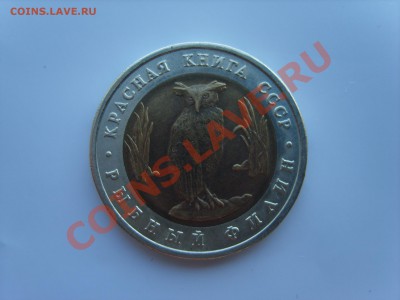 5р. Красная Книга.Филин.1991г.до 2.04.13. до 22.00. - S8303754.JPG