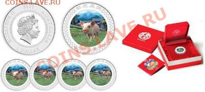 Цветные монеты - бегущий поросенок