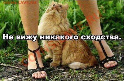 юмор - getImage (6)