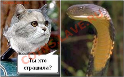 делает - прямо сейчас !!! - 2013-03-29_210446