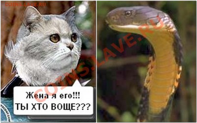 делает - прямо сейчас !!! - 2013-03-29_210959