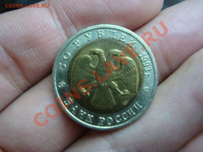 Дальневосточный аист - DSC08039.JPG