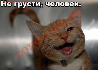 делает - прямо сейчас !!! - jqIeJjrIzB8