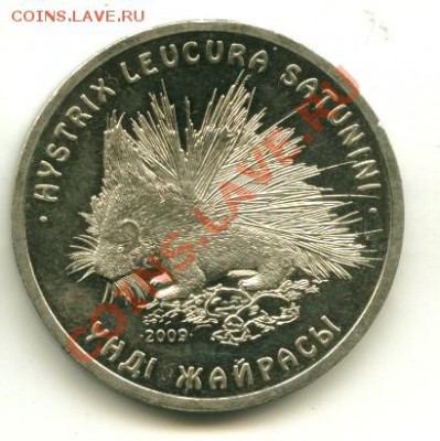 50 тенге РК Дикобраз до 04.04.2013 22-00мск - 9