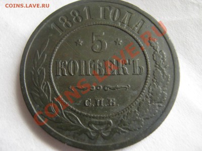 5 копеек 1881 с.п.б. хороший ( до 03.04.13 г) - IMG_1324.JPG