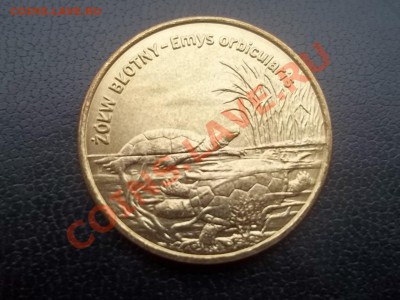 2 злотых болотная черепаха польша 2002 - Сrauze21 604