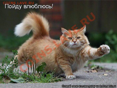 делает - прямо сейчас !!! - getImage (4)