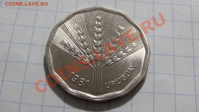 ФАО Уругвай 2 новых песо 1981 UNC до 02.04. в 22:00 - DSC02447.JPG