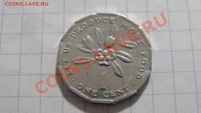 ФАО Ямайка 1 цент 1990 до 02.04. в 22:00 - DSC02444.JPG