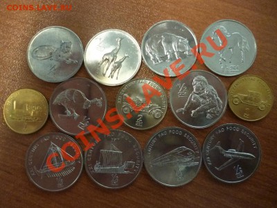 ДК Корея Животные+транспорт ФИКС 07.04 - P1020371.JPG