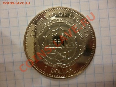 ДК Кроновый размер Либерия Горилла 07.04 - P1020805.JPG