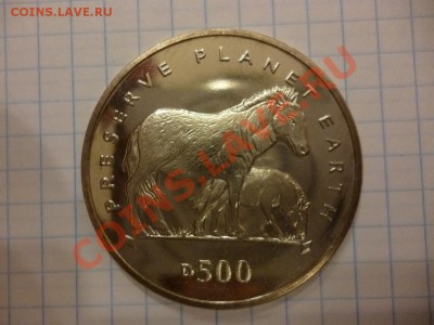 ДК Кроновый размер Босния 500Д Пони 07.04 - P1020810.JPG