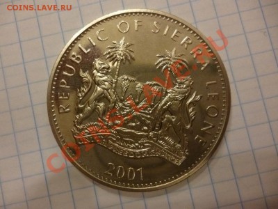 ДК Кроновый размер Сьера-Леорне 1 доллар Тигрица 07.04 - P1020819.JPG