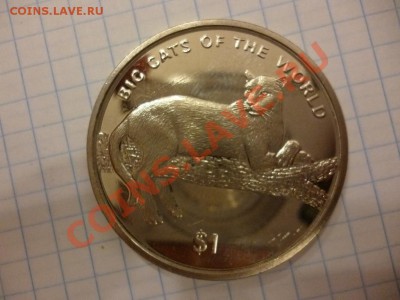 ДК Кроновый размер Сьера-Леорне 1 доллар Пантера 07.04 - P1020820.JPG