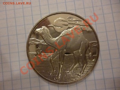 ДК Кроновый размер Сьера-Леорне 1 доллар Верблюд 07.04 - P1020830.JPG