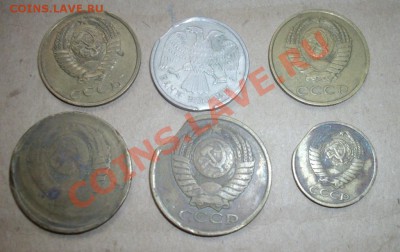 5к81.10р92 идр.хорошие выкусы до до 8.4.13-22.00мск - IMGP4959.JPG