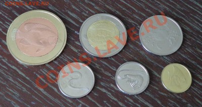 НОВИНКА - о.КОРИСКО - морская фауна (6 штук) до 9.04, 22.00 - кориско морская тема 2