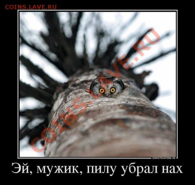 юмор - Безымянный