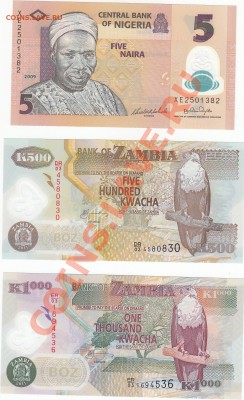 Иностранные банкноты пресс (UNC) пополняемая тема - IMG_0002