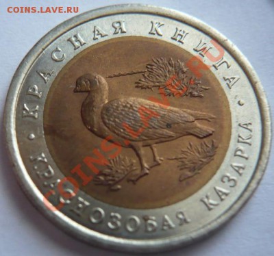 Красная книга 10руб. 1992г. 22-00 08.04.13г.мск - P1190427.JPG