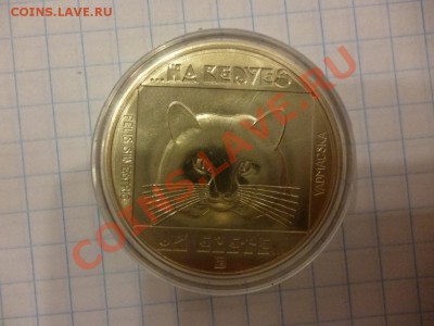 ДК Венгрия 100 форинов Кошка 08.04 - P1020854.JPG