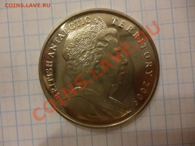 ДК БритАрктич.Территории 2 фунта Животные 08.04 - P1020877.JPG