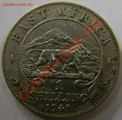 шиллинг Восточная Африка 1948г. - DSCN5183_thumb