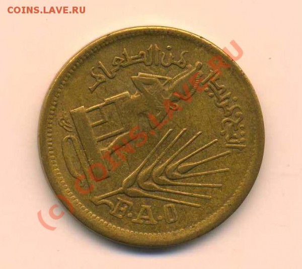Египет 5 пиастров юбил. до 26.11.09 - img143