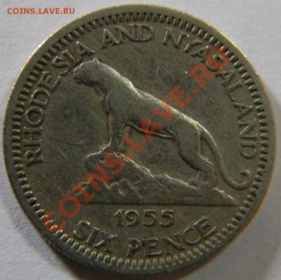 6 пенсов родезия и ньясаленд 1955г. - DSCN5205_thumb