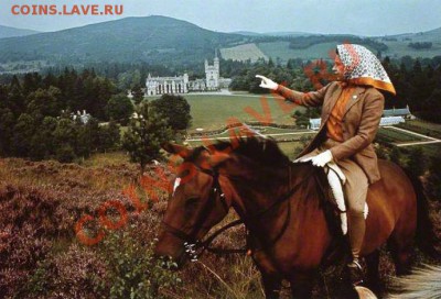 ФОТОконкурс (5 апреля) - 18