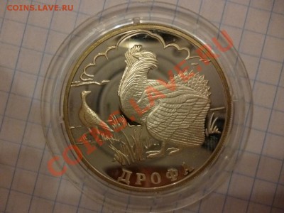ДК Красная книга Дрофа серебро 08.04 - P1020903.JPG