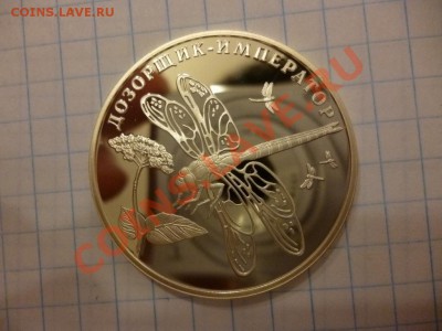 ДК Красная книга Дозорщик серебро 08.04 - P1020910.JPG